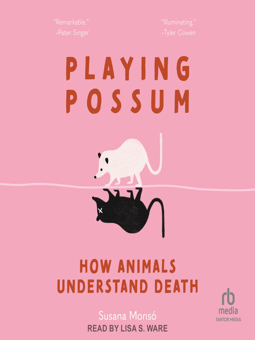 Title details for Playing Possum by Susana Monsó - Wait list